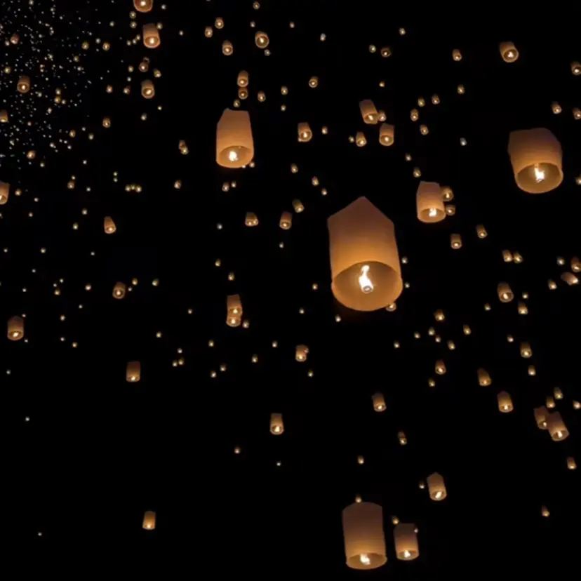 本田 さやかの掲載