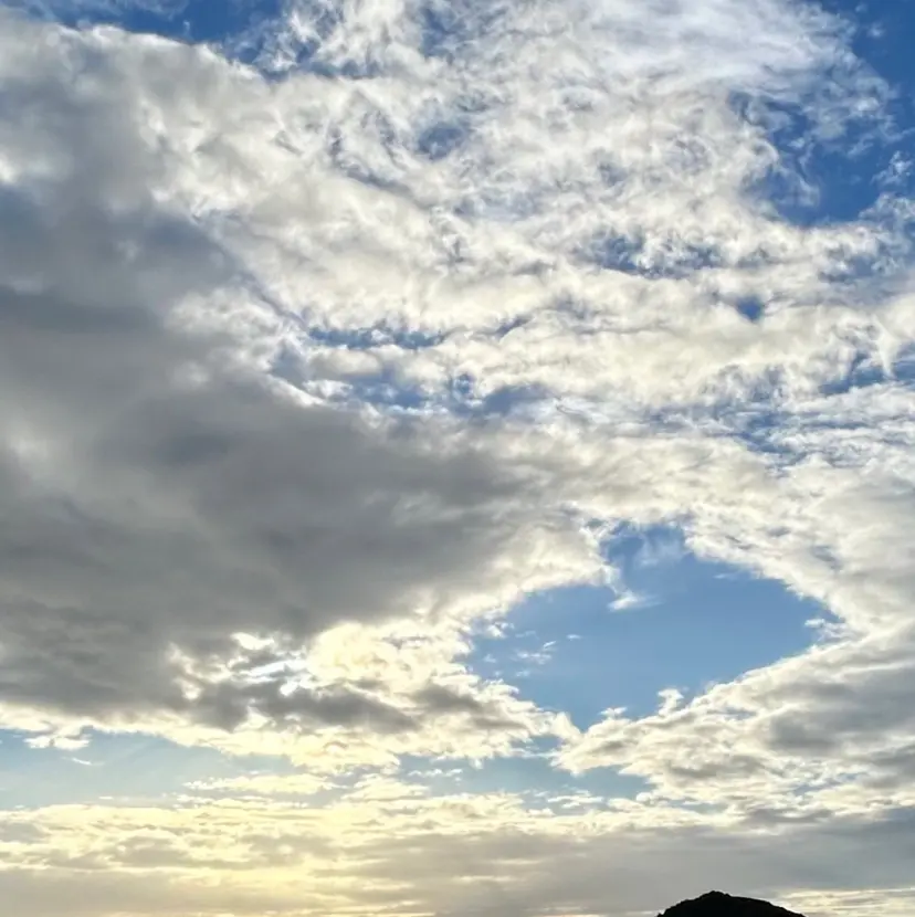 安友 楓真の掲載