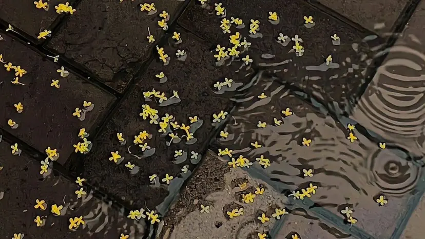 viviell 大阪駅前第1ビル店の掲載