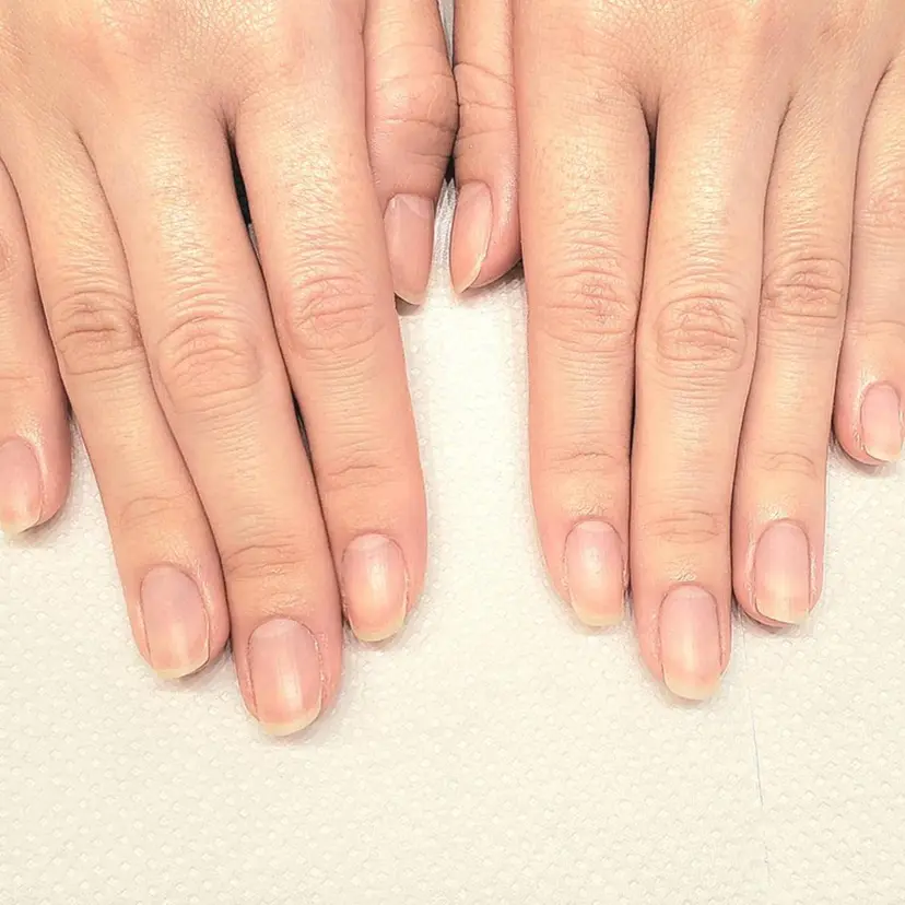 山本 あゆみの掲載