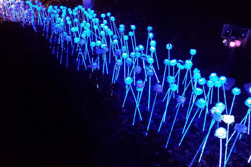 Nail 🌱TSUBASAの掲載