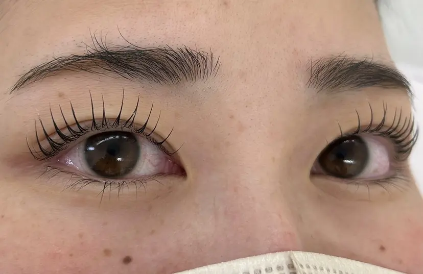 滝本 くるみの掲載