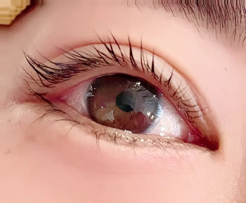 生亀 一美の掲載