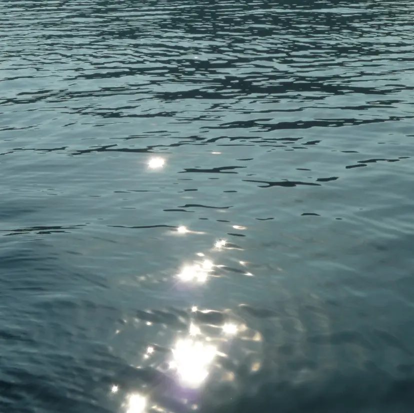 ヤマモト マミコの掲載