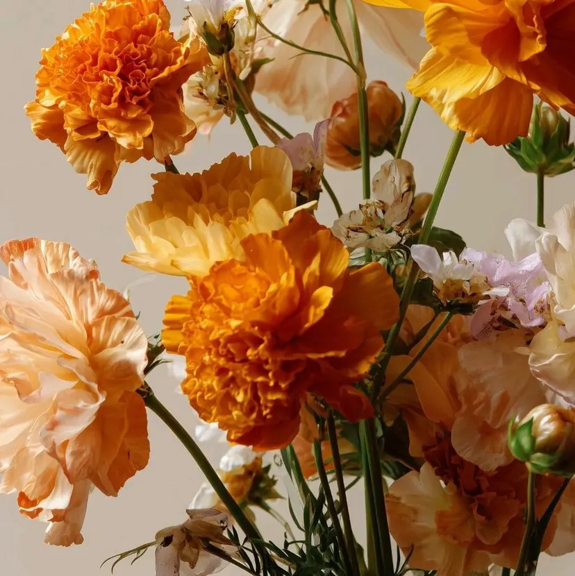 Jamme /齋藤 若菜の掲載