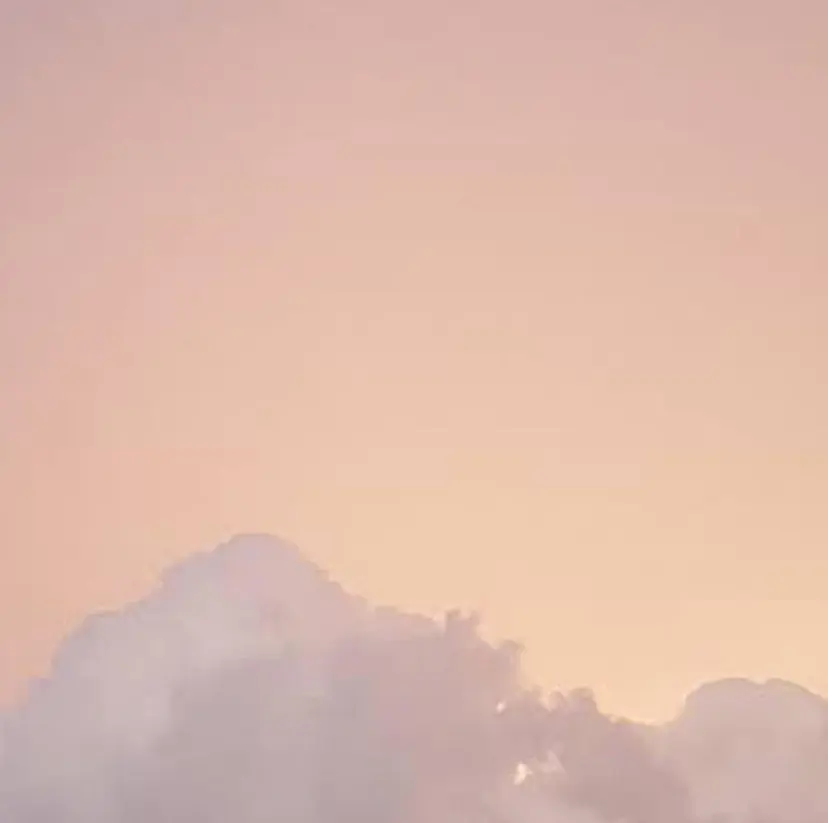 研修 モデル募集の掲載