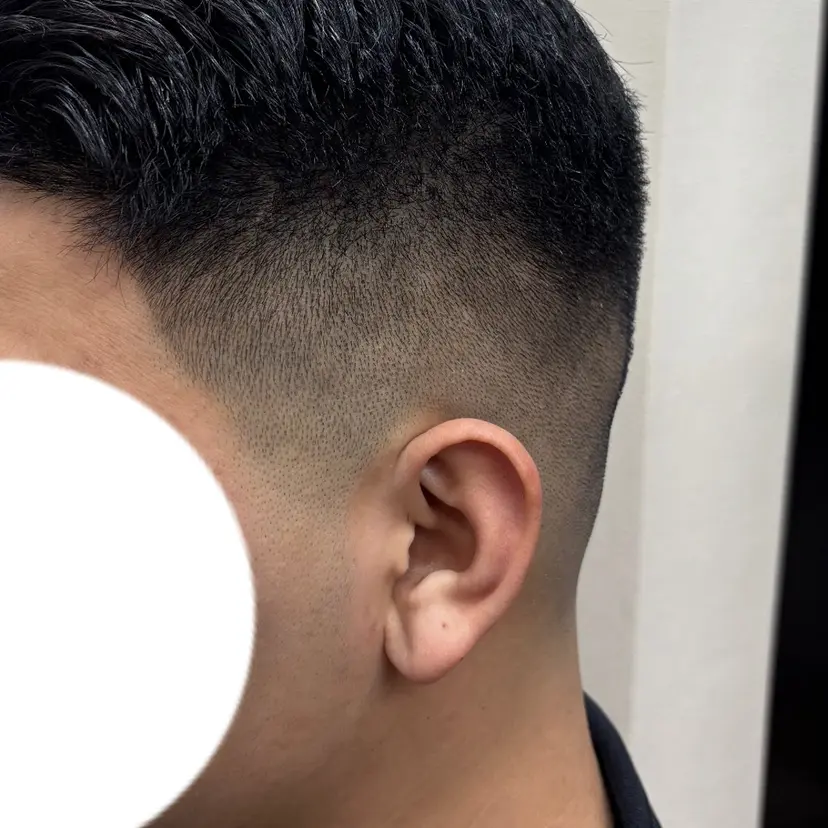 酒井 陽人の掲載