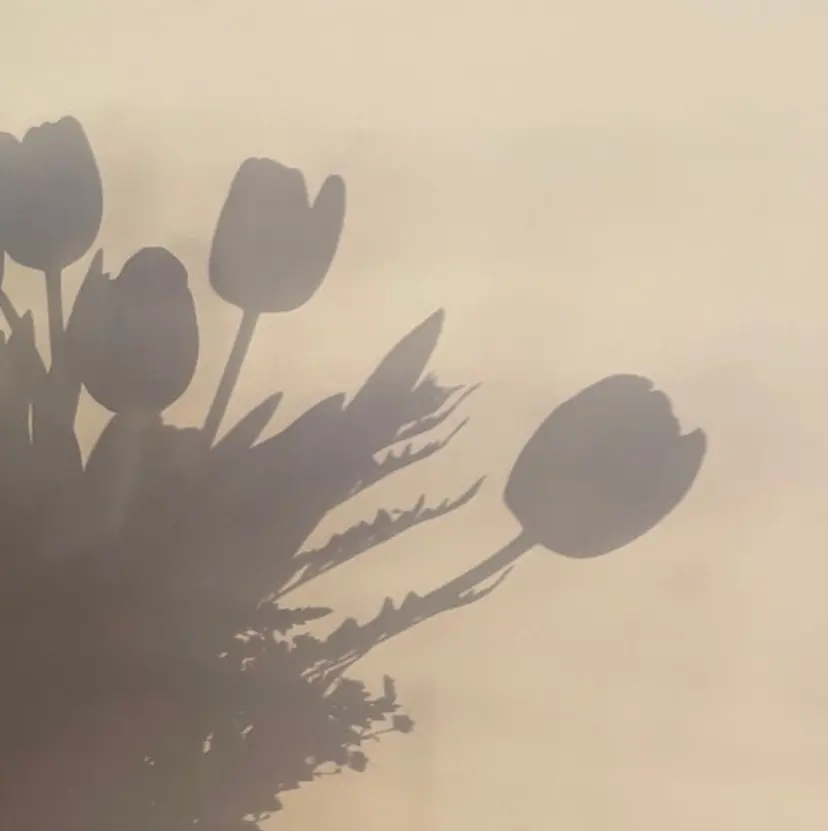 FILMS 銀座店 Mikotoの掲載