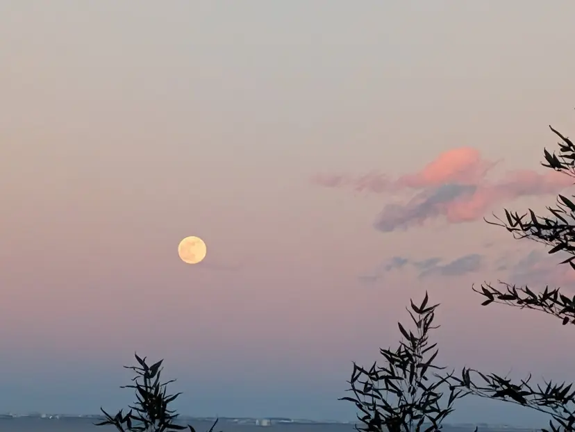 美肌と小顔のサロン RUVIAの掲載