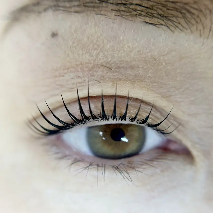 アイサプリメント 玖巫の掲載