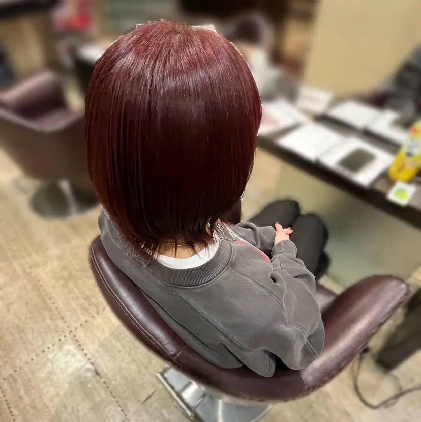 シバタ セイラの掲載