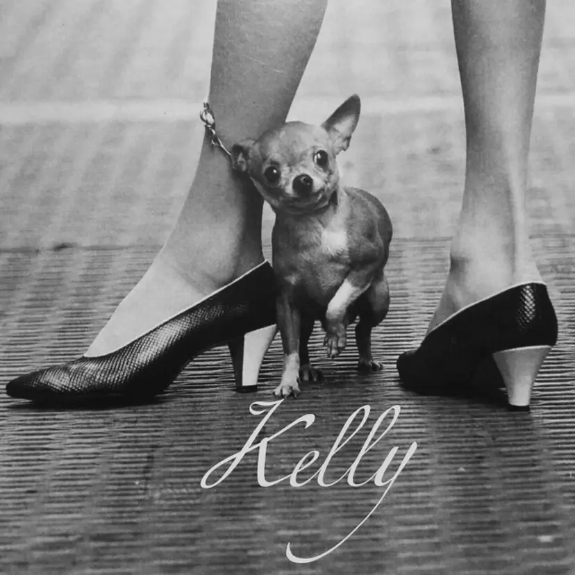 kelly Shokoの掲載