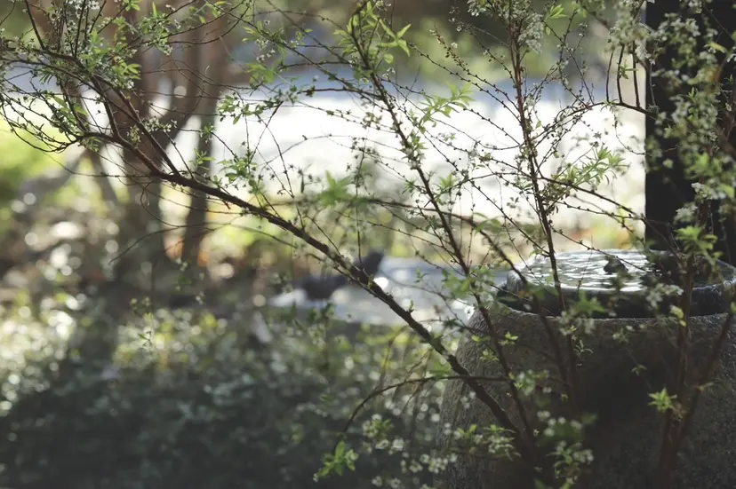 西鎌倉/大人の為の メンズヘア/田端悠哉の掲載