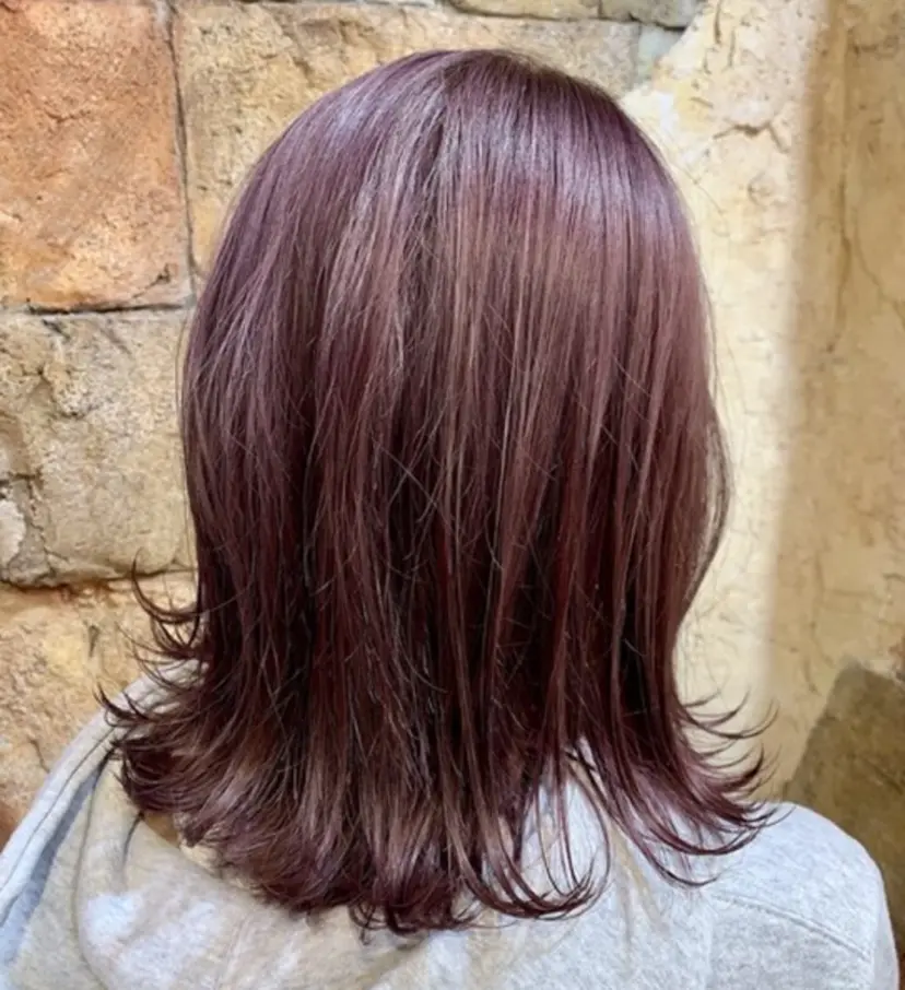 CREDGARDEN 入江 遥香の掲載