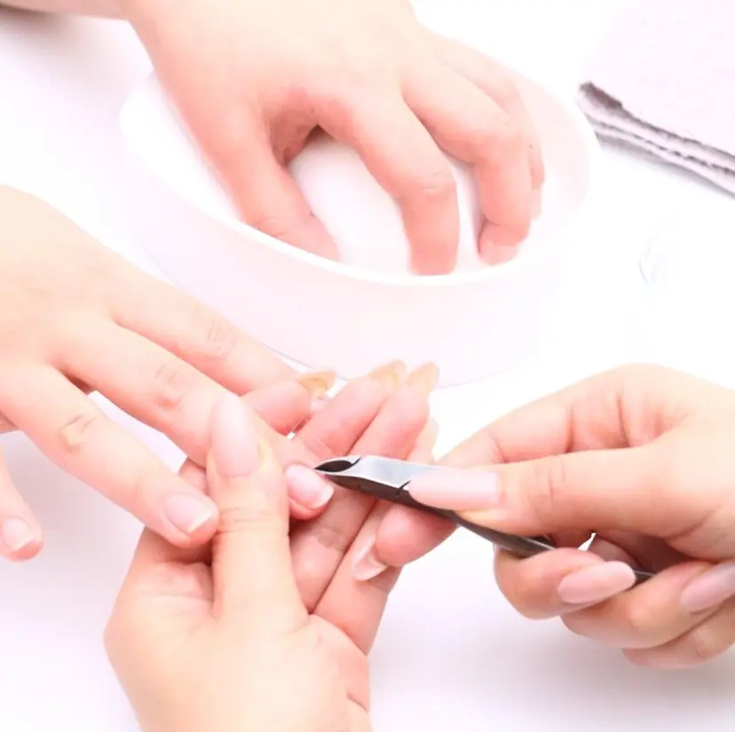 大島 智世の掲載