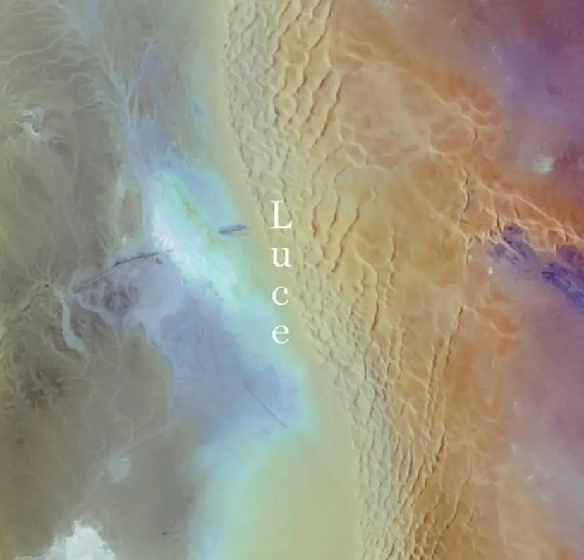 渡邊 七海の掲載