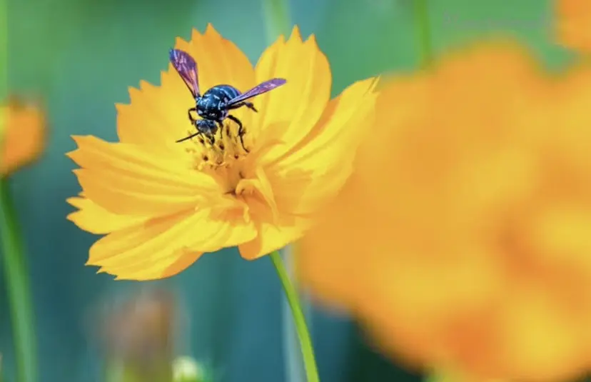 表情筋フェイシャル 三軒茶屋の掲載