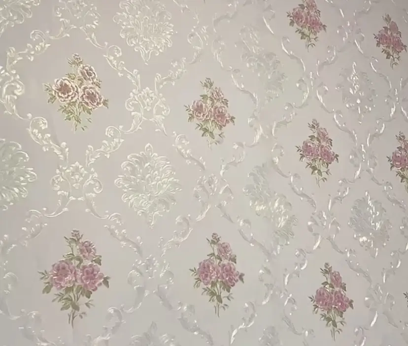 ㅤ ㅤ ㅤ ㅤ ㅤ momoの掲載