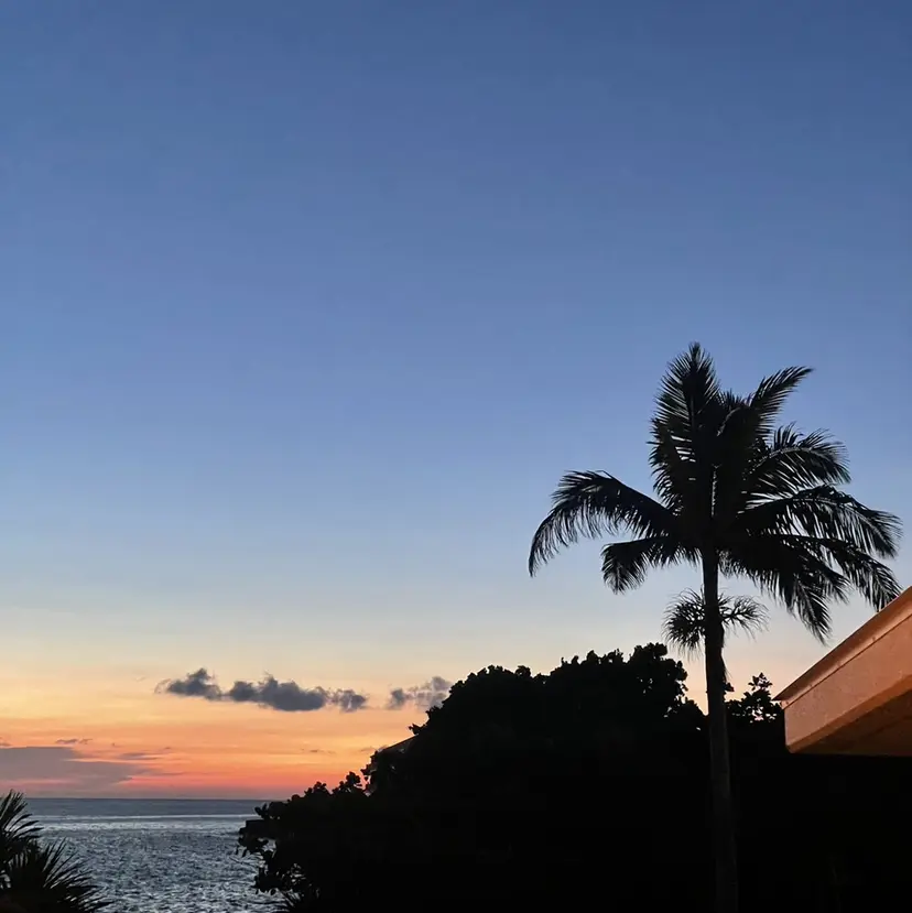 charm KAEDE🦋の掲載