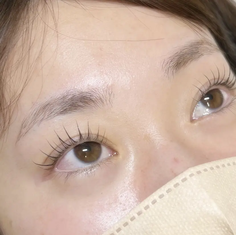 lemmy タニフジの掲載