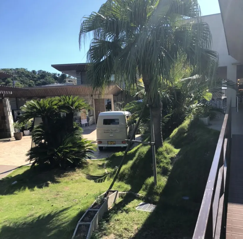 内田 めいの掲載