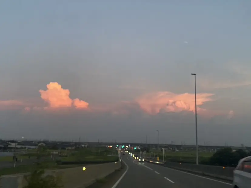 若杉 百音の掲載