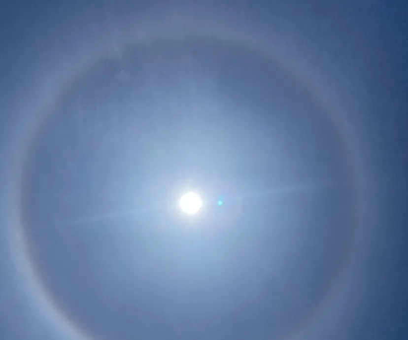 杉山 かおりの掲載