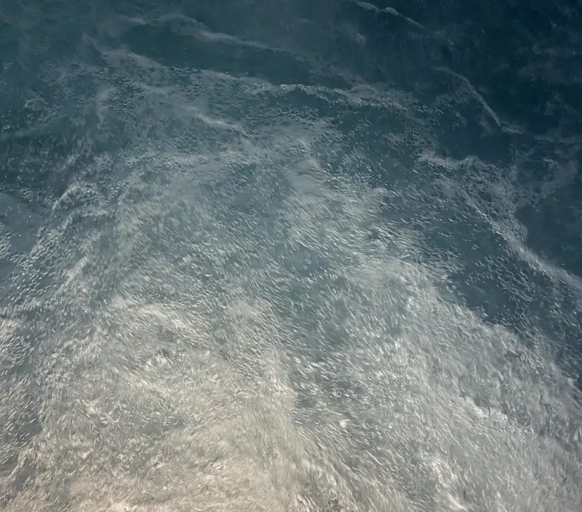 ムラカミ ミキの掲載