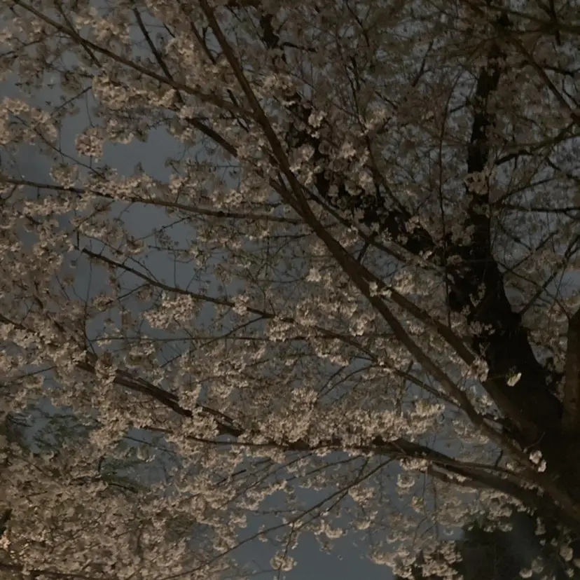 orihara𐙚 まつげパーマ/眉毛の掲載