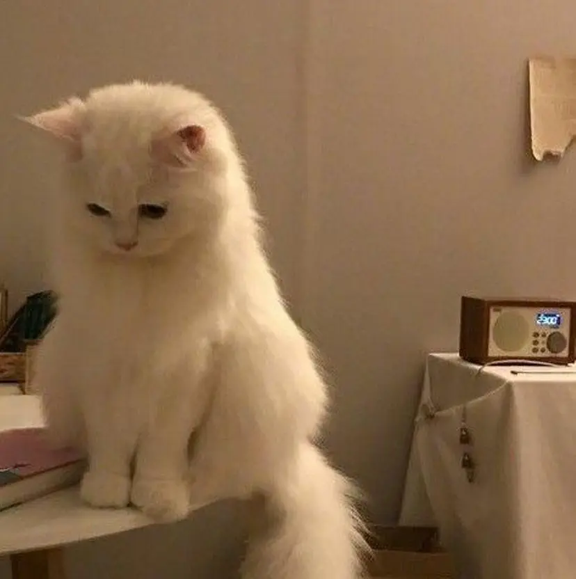 クルミ/ 💕ワンホンネイルの掲載