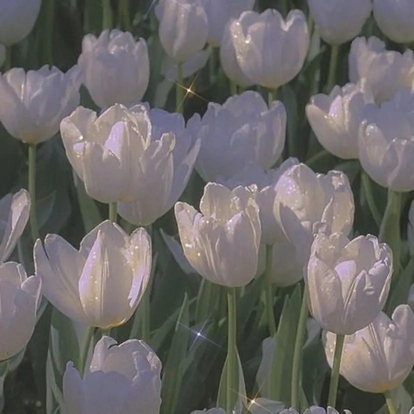 GOTO /束感仕上げ🪄の掲載
