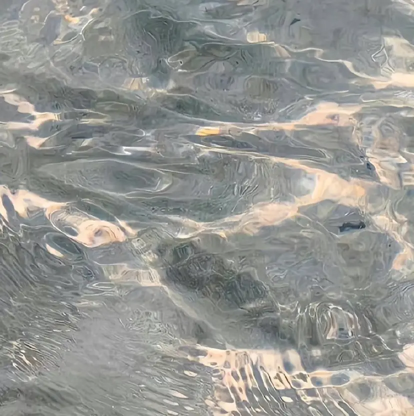 🌱巴結生🌿大宮 ☁️ミルクティーの掲載