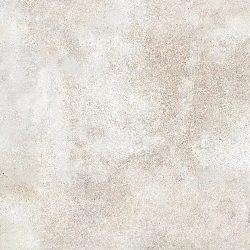 長谷 若奈の掲載