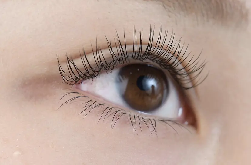 山中 優真の掲載