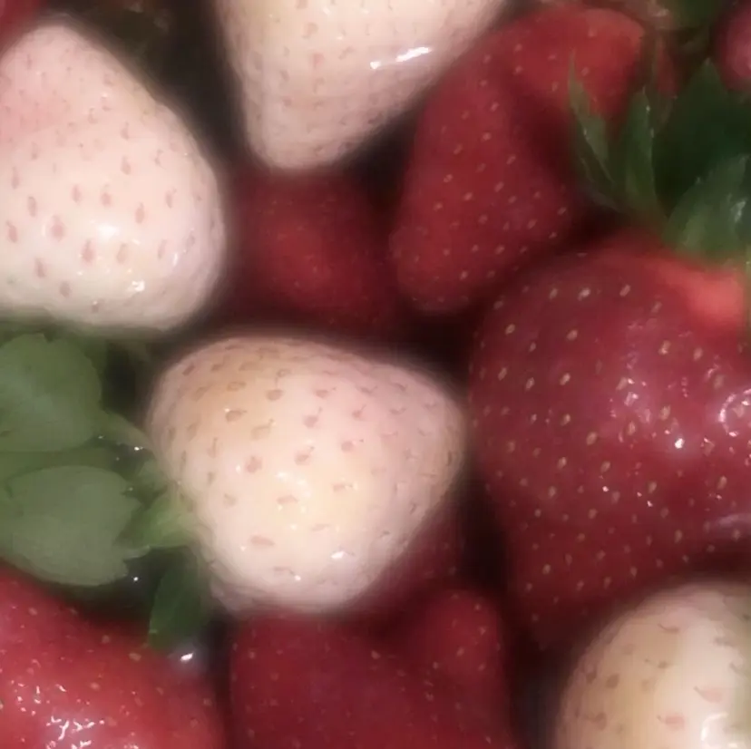 🍓EYELA🍓 さくまの掲載