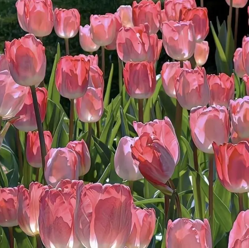 村山 茉衣の掲載