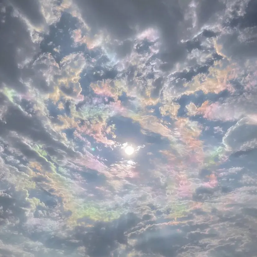 ami 𝜗𝜚.⋆໒꒱の掲載