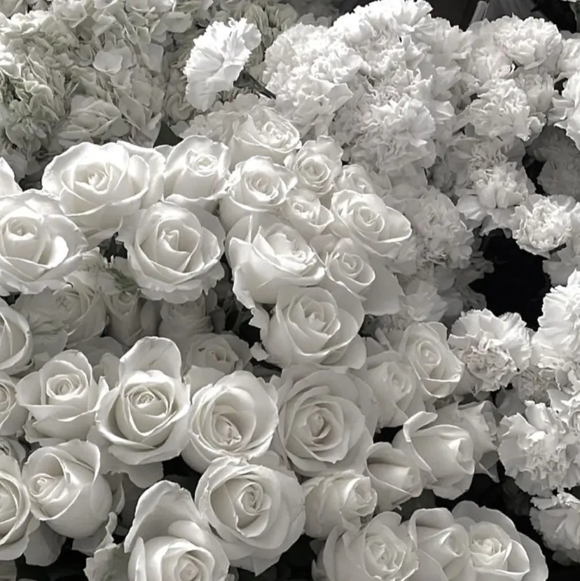 💫 ひかる💫の掲載