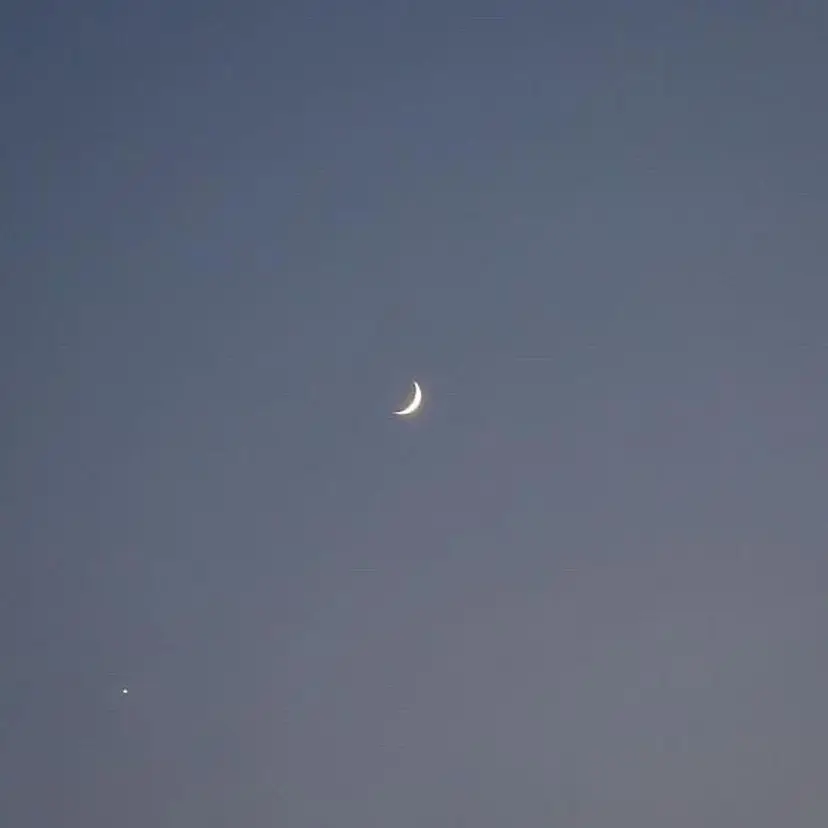 LILY広島 mahoの掲載