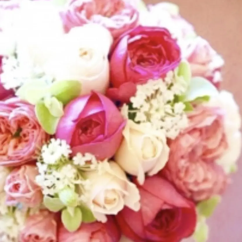 藤澤 佑夏の掲載