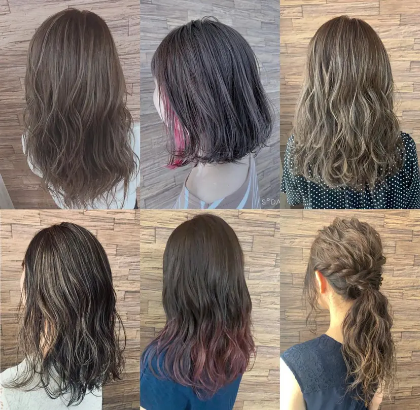 有坂 里恵の掲載