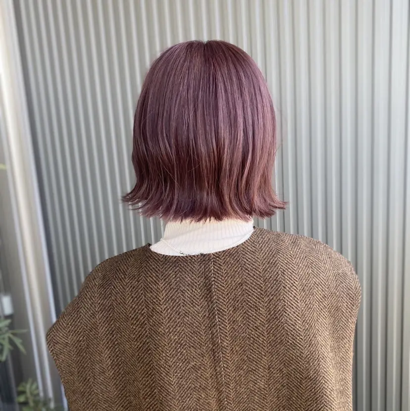 森井 早苗の掲載