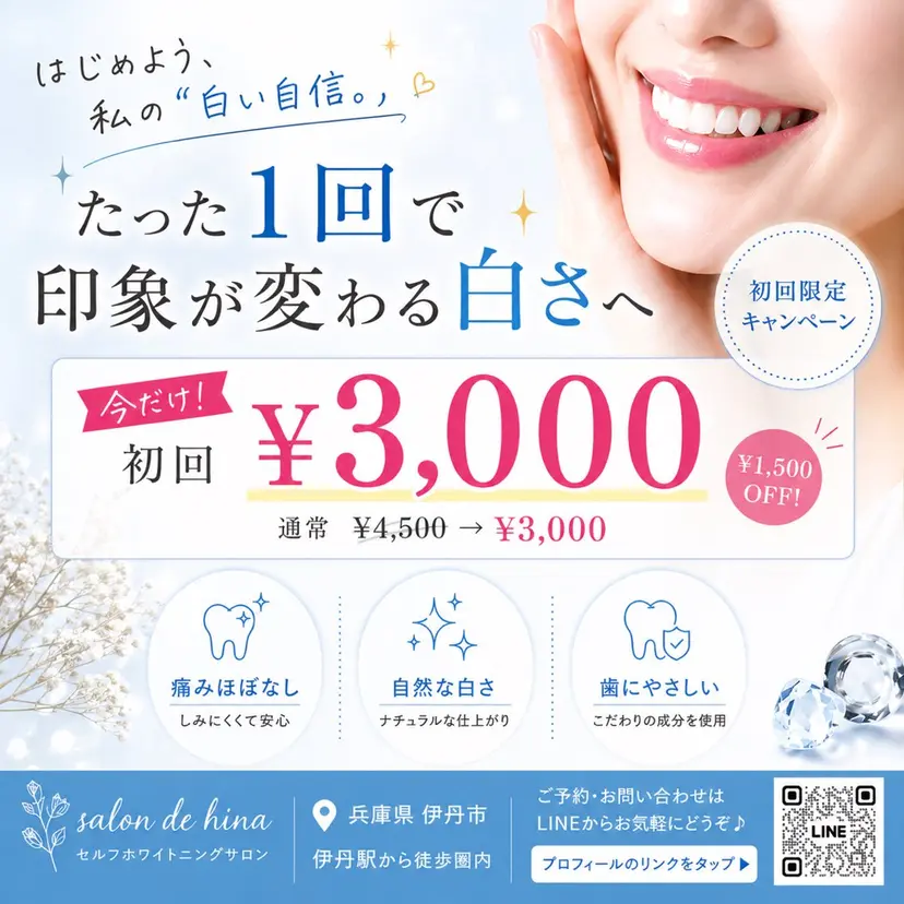 salon de hina  AIの掲載