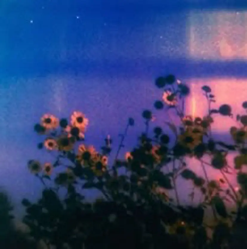 高橋 くるみの掲載