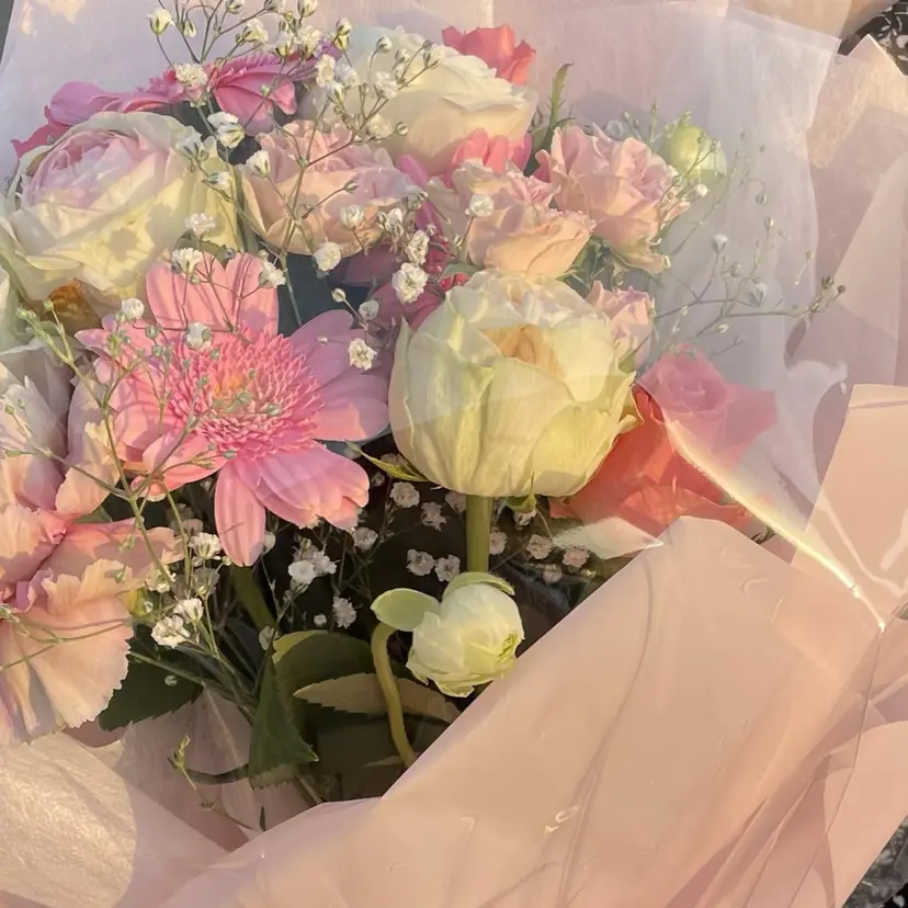 Angelique 平形/高崎の掲載