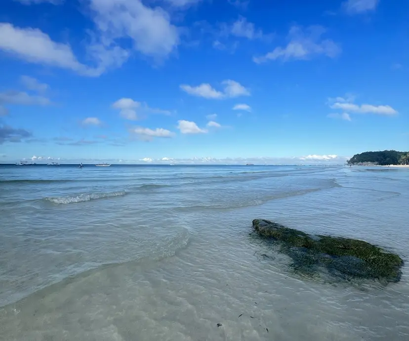 Gypsy🌹 ﾏﾘｰ🌹の掲載