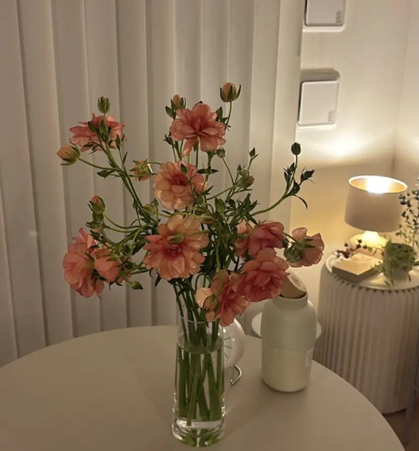 南草津 Lupinusの掲載