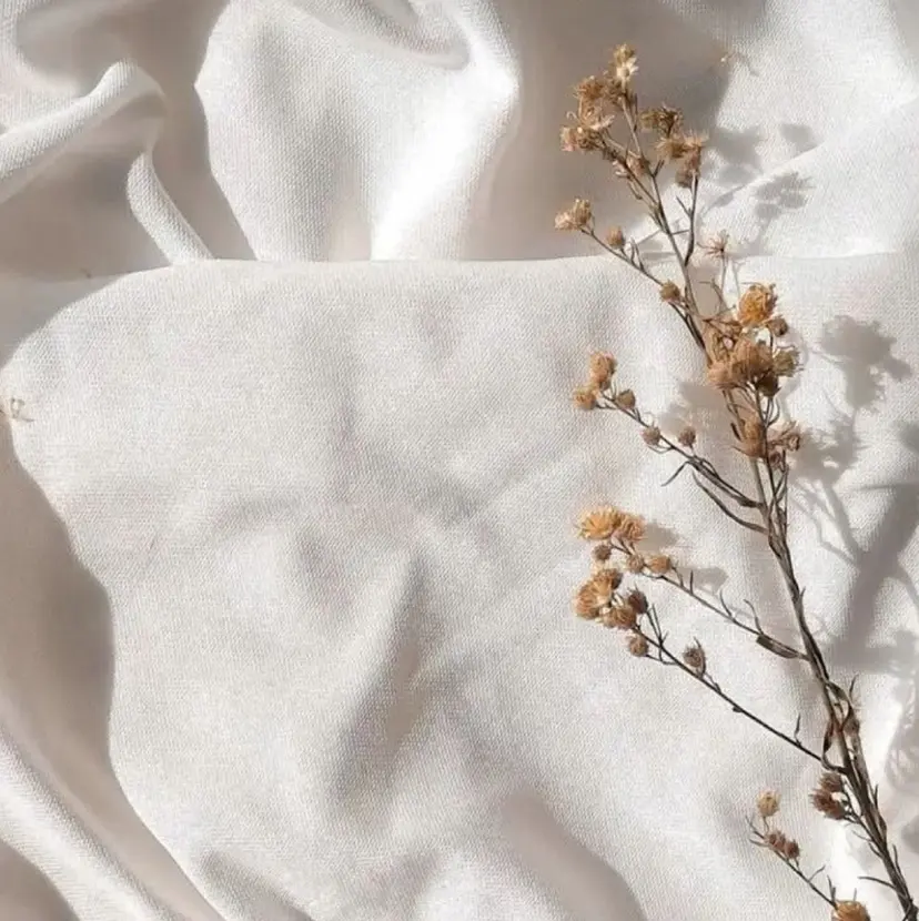 «料金🆓カット モデル»キリ🌿の掲載