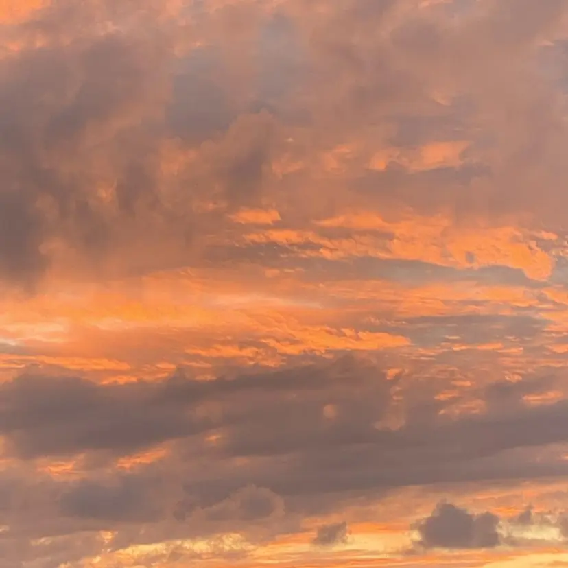 ELAN) Hasegawaの掲載