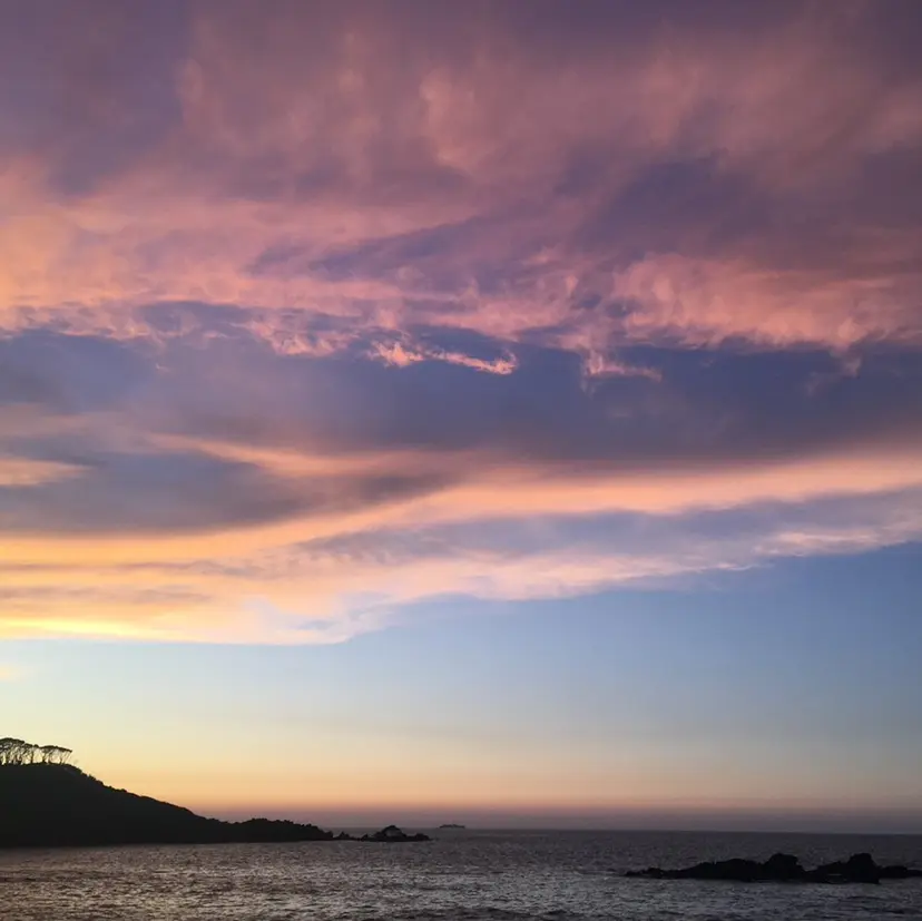 🎀 Suzunoの掲載